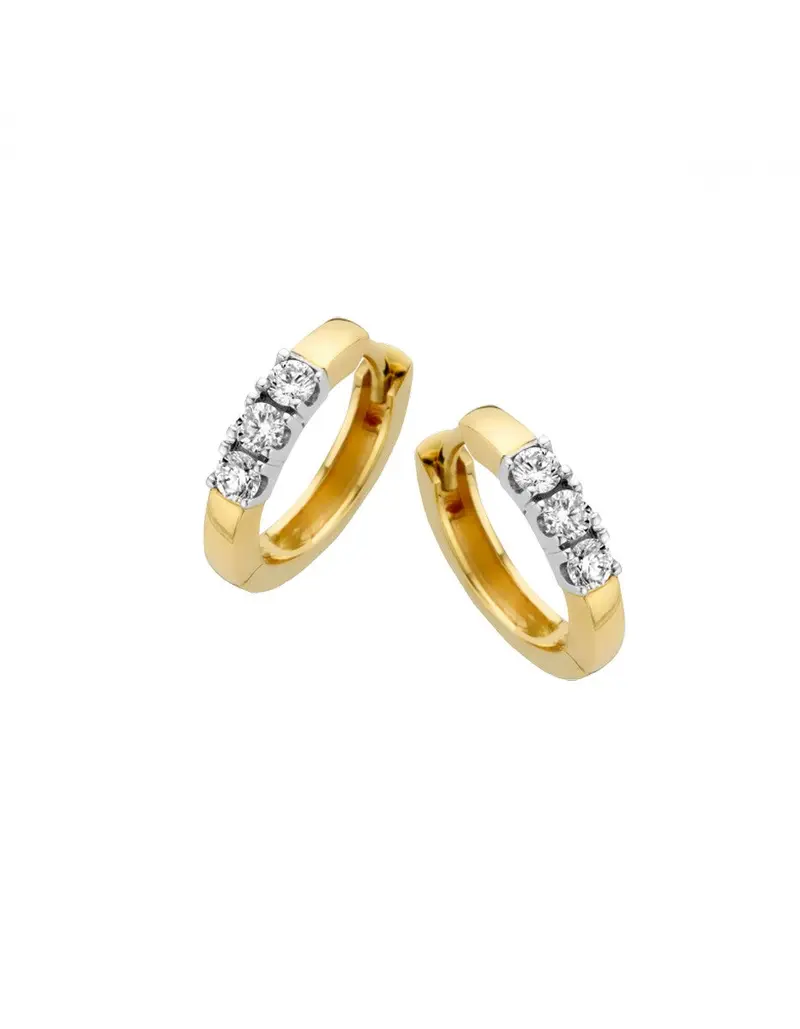 14K Bicolor Goud Memoire Diamant Oorbellen 6 x 0.03 ct