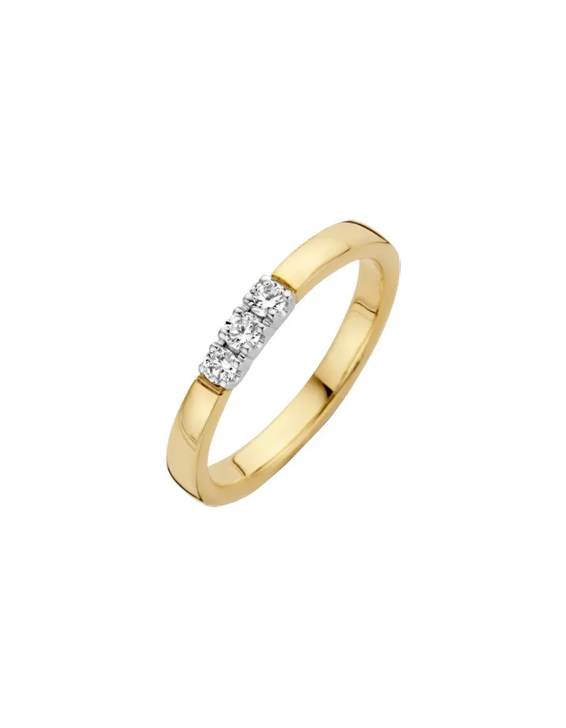 14K Bicolor Goud Memoire Diamant Ring 3 x 0.03 ct