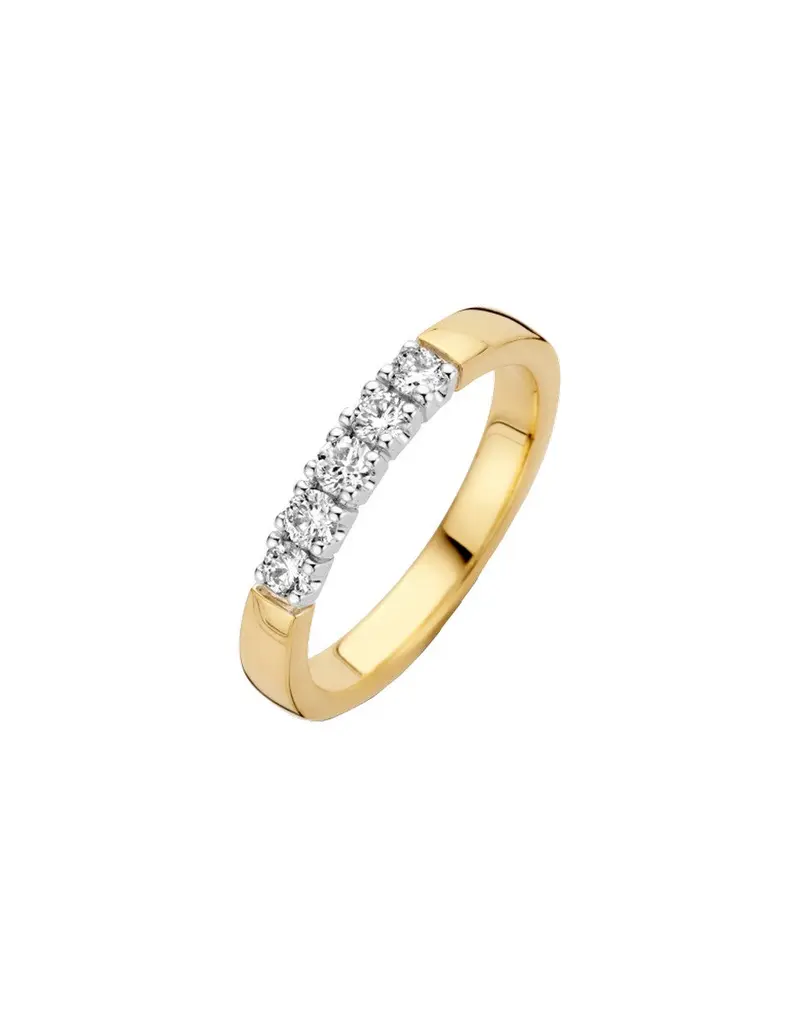 14K Bicolor Goud Memoire Diamant Ring 5 x 0.05 ct