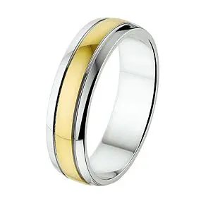 14K Bicolor Gouden Ring 5 mm – 4207634