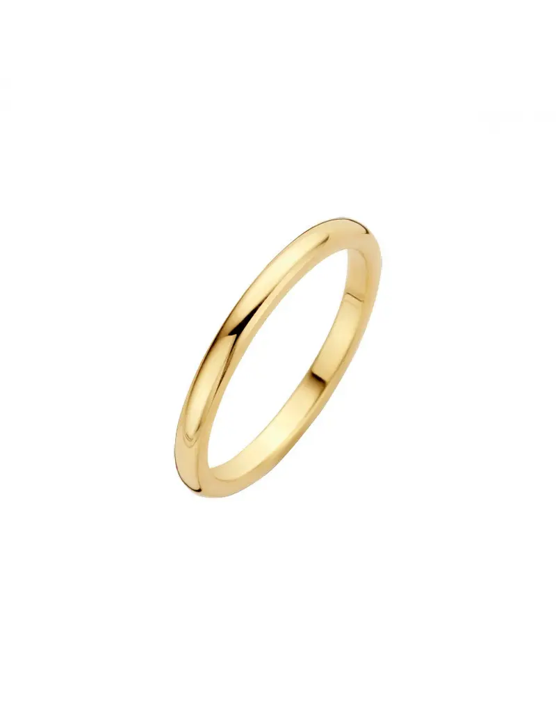 14K Geelgoud Sider Diamant Ring
