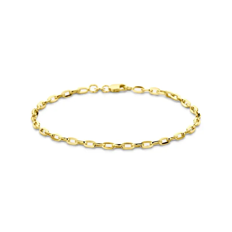 14k Geelgouden anker armband