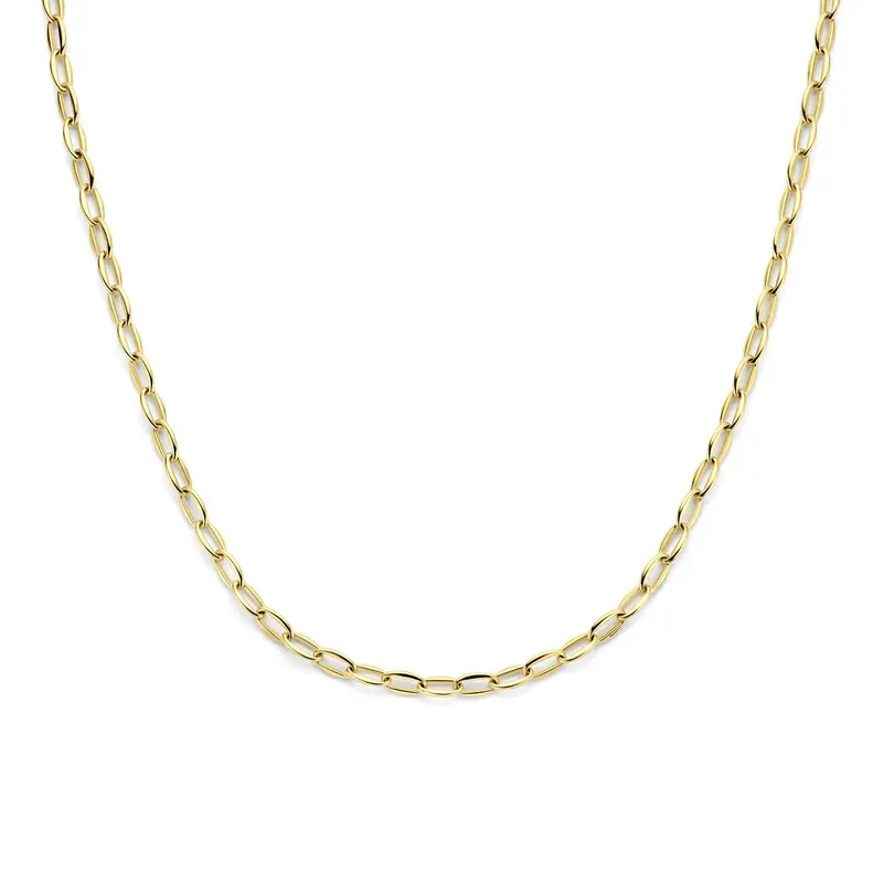 14k Geelgouden anker collier dames