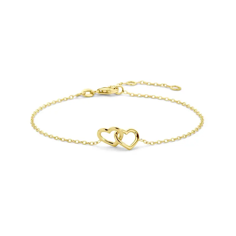 14k Geelgouden armband met twee harten
