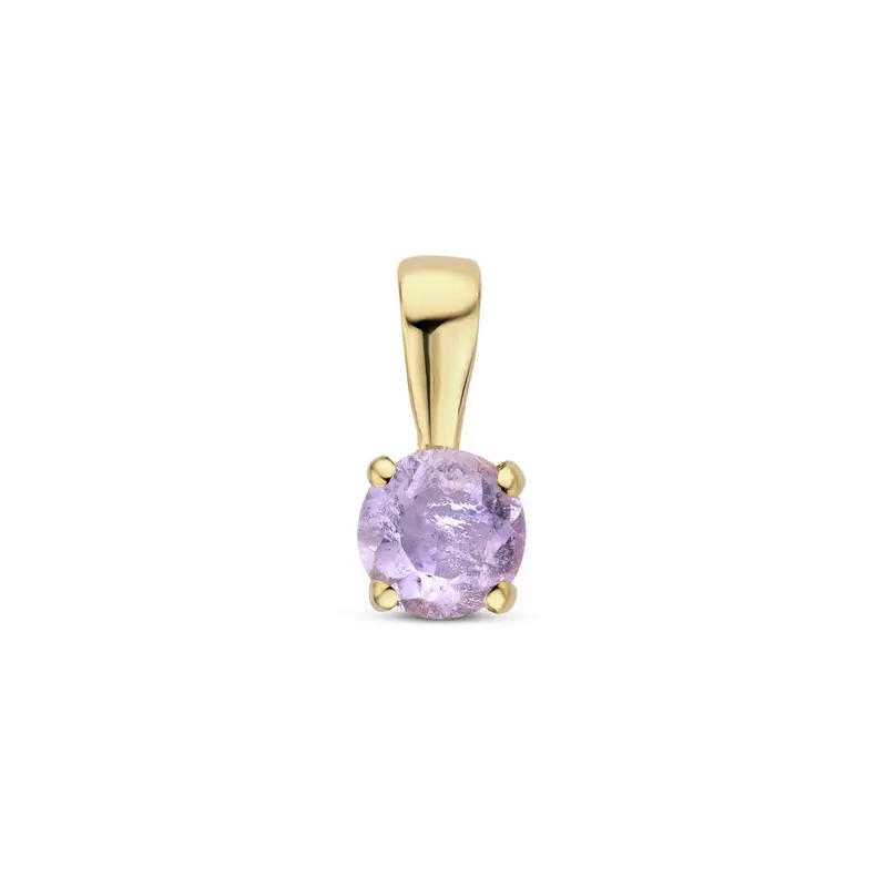14k Geelgouden Hanger met Amethist