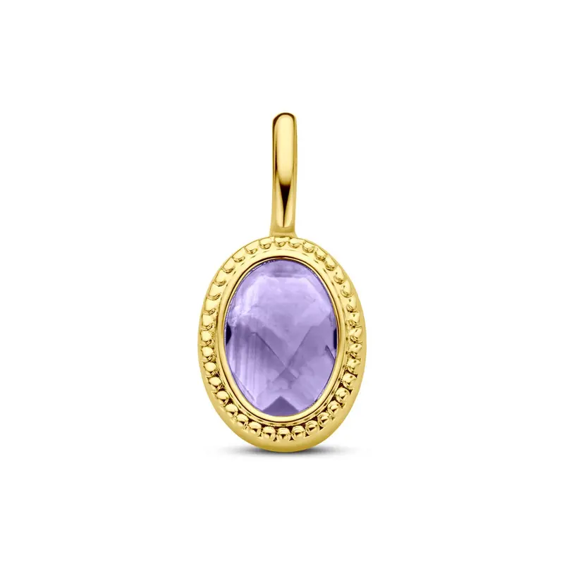 14k Geelgouden Hanger met Amethist – Ovale Zetting