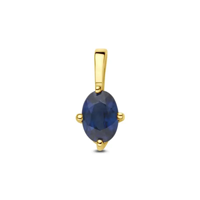 14k geelgouden hanger met saffier