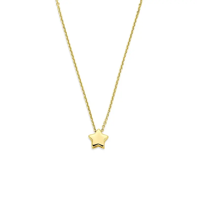 14k Geelgouden ketting met ster