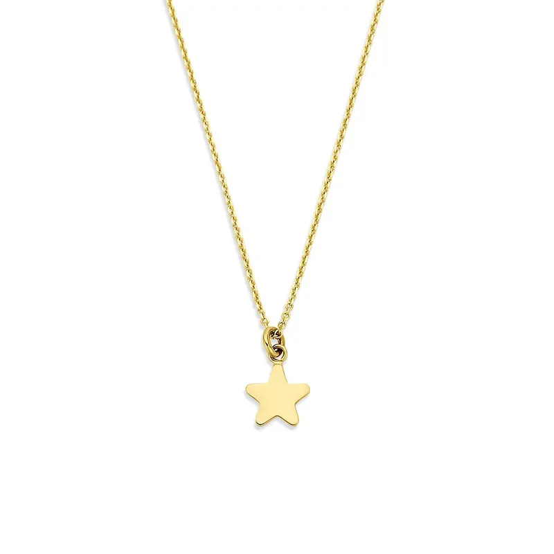 14k Geelgouden ketting met ster