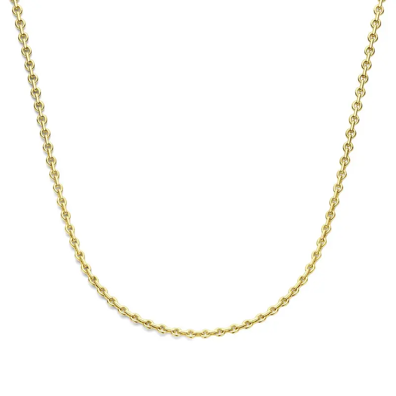 14k geelgouden ketting met zilverkern – Silgold anker collier