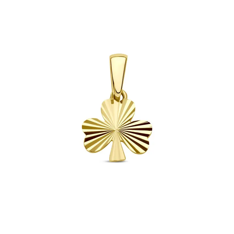 14k Geelgouden klaver hanger om te graveren