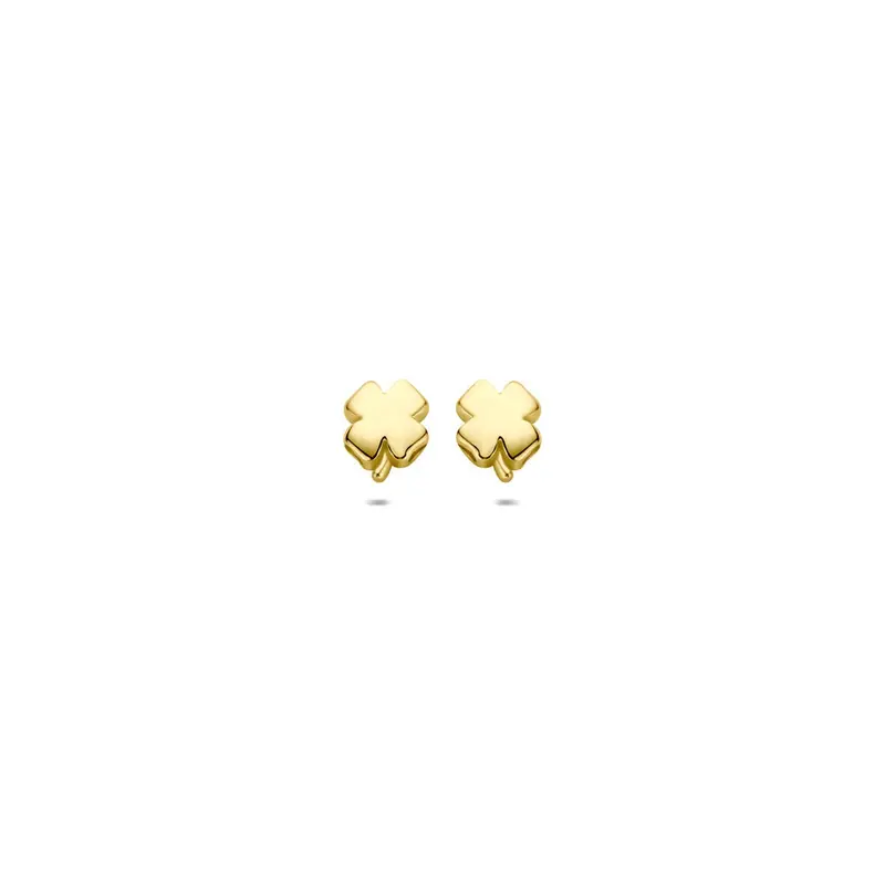14k Geelgouden klaver oorknoppen