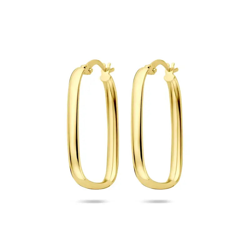 14k Geelgouden Oorringen
