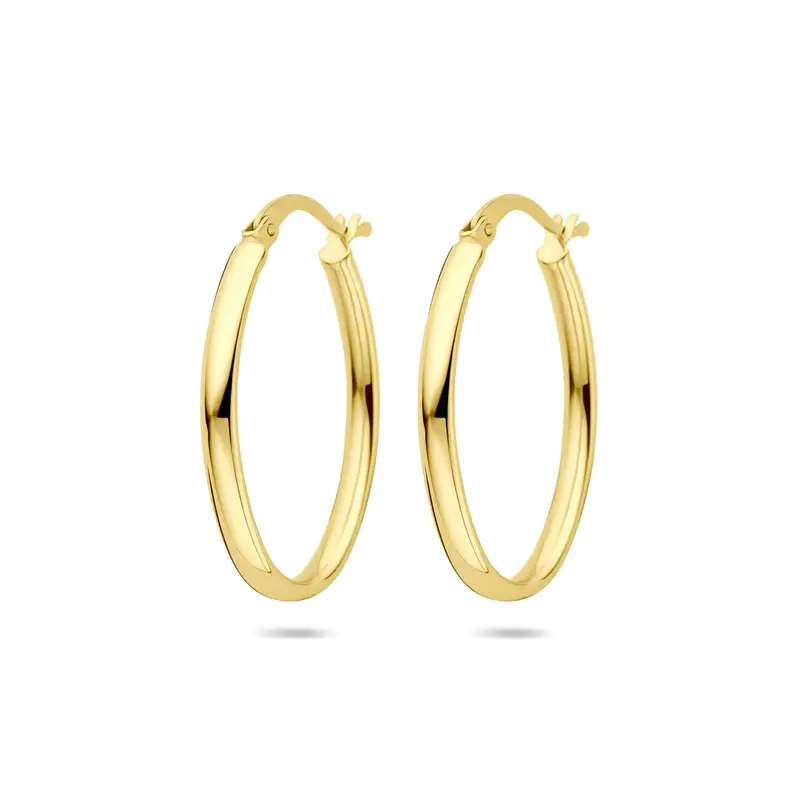 14k Geelgouden Oorringen