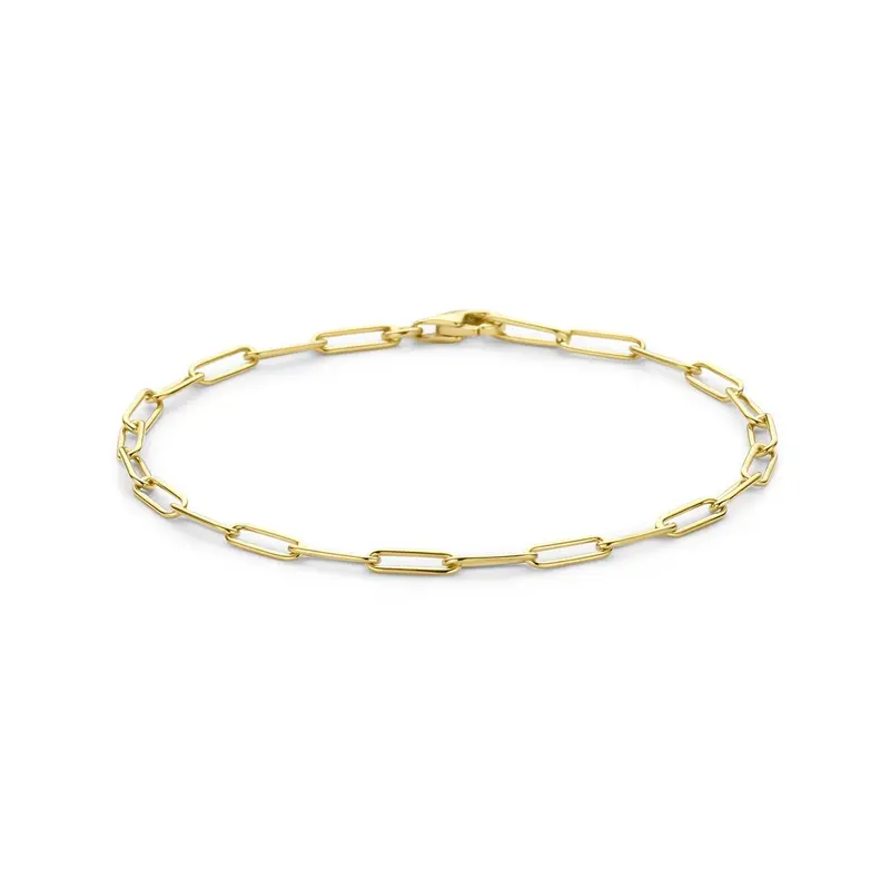 14k Geelgouden Schakel Armband Anker