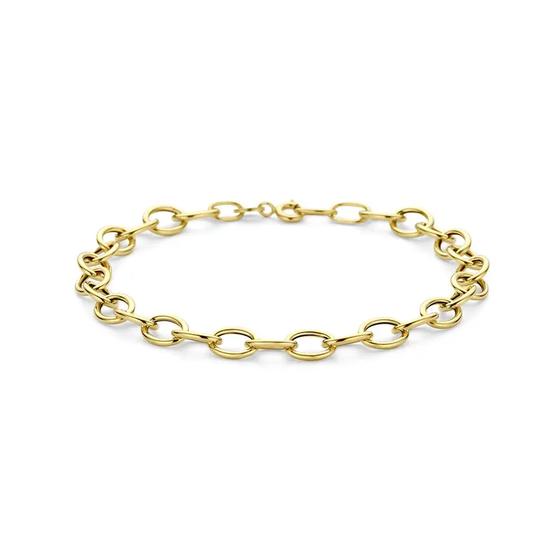 14k Geelgouden Schakel Armband Anker