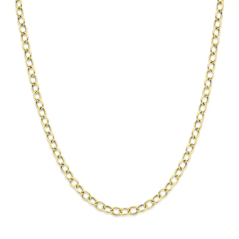 14k Geelgouden Schakel Ketting Anker