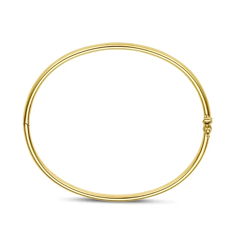 14k Geelgouden Silgold Bangle Dames