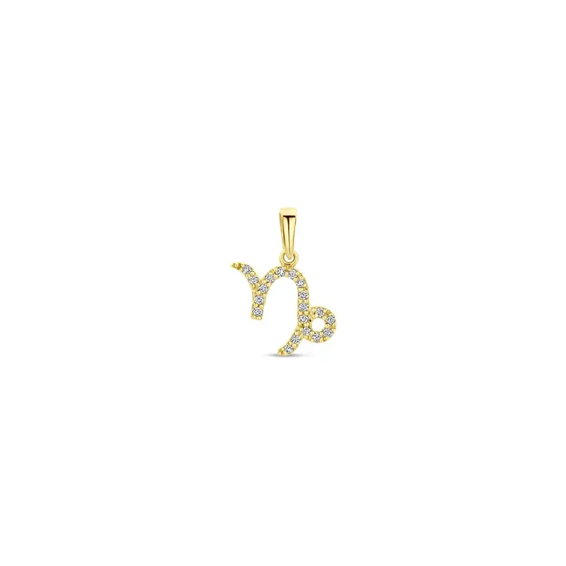 14k geelgouden sterrenbeeld hanger met diamant