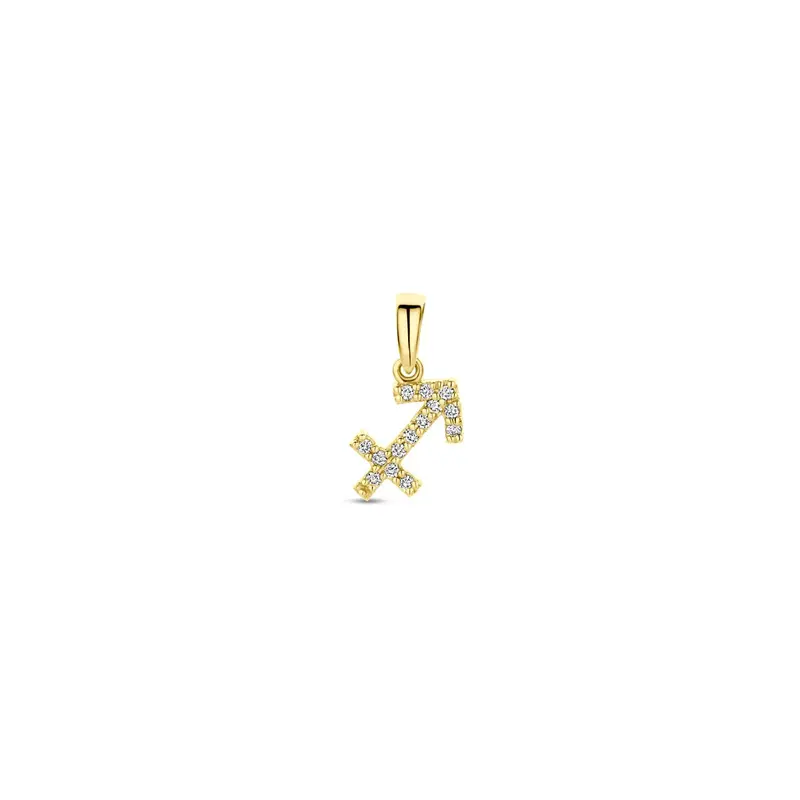 14k geelgouden sterrenbeeld hanger met diamant