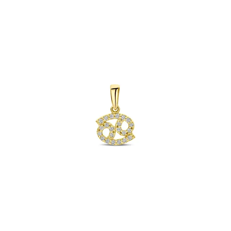 14k geelgouden sterrenbeeld hanger met diamant