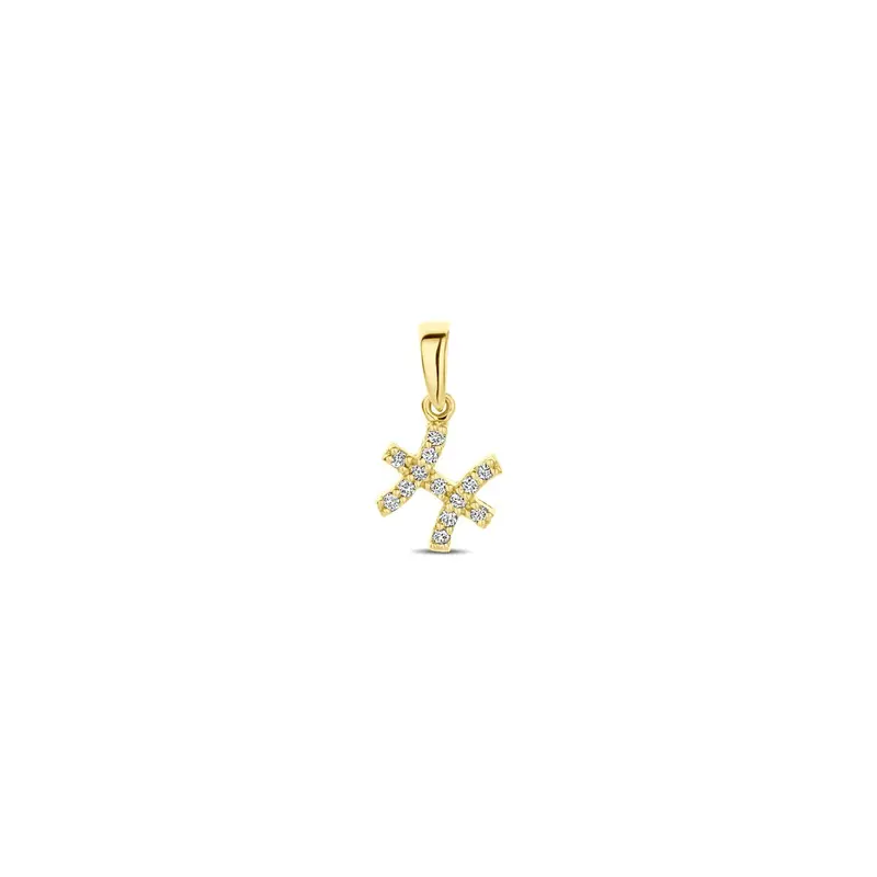 14k geelgouden sterrenbeeld hanger met diamant
