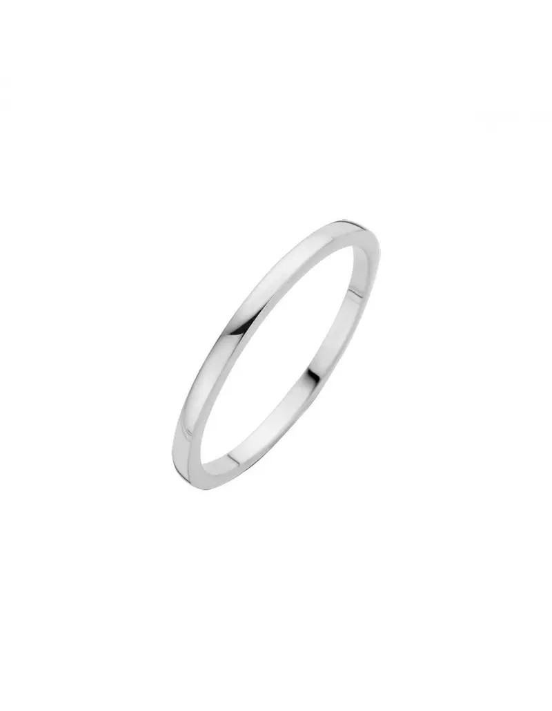 14K Witgoud Sider Diamant Ring