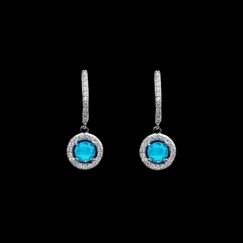 925 Sterling Zilveren Oorbellen met Blauwe en Witte Zirkonia Stenen