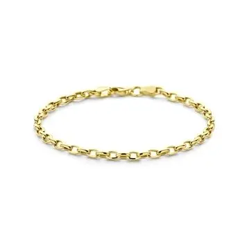 9K armband anker 3,1 mm 18,5 cm 9K geelgoud