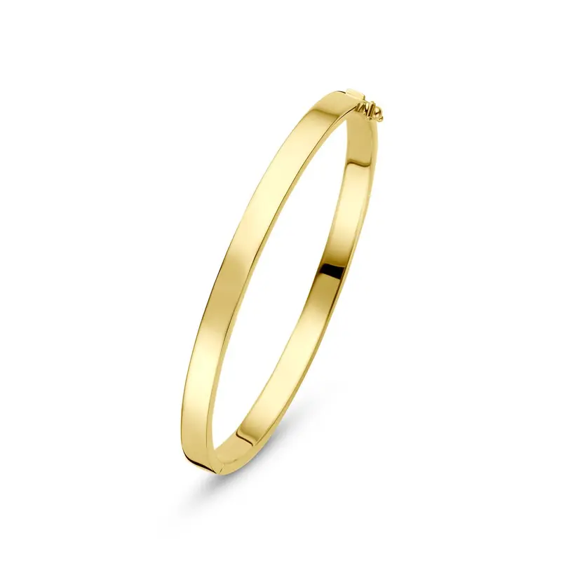 9k Geelgouden bangle armband met zilveren kern