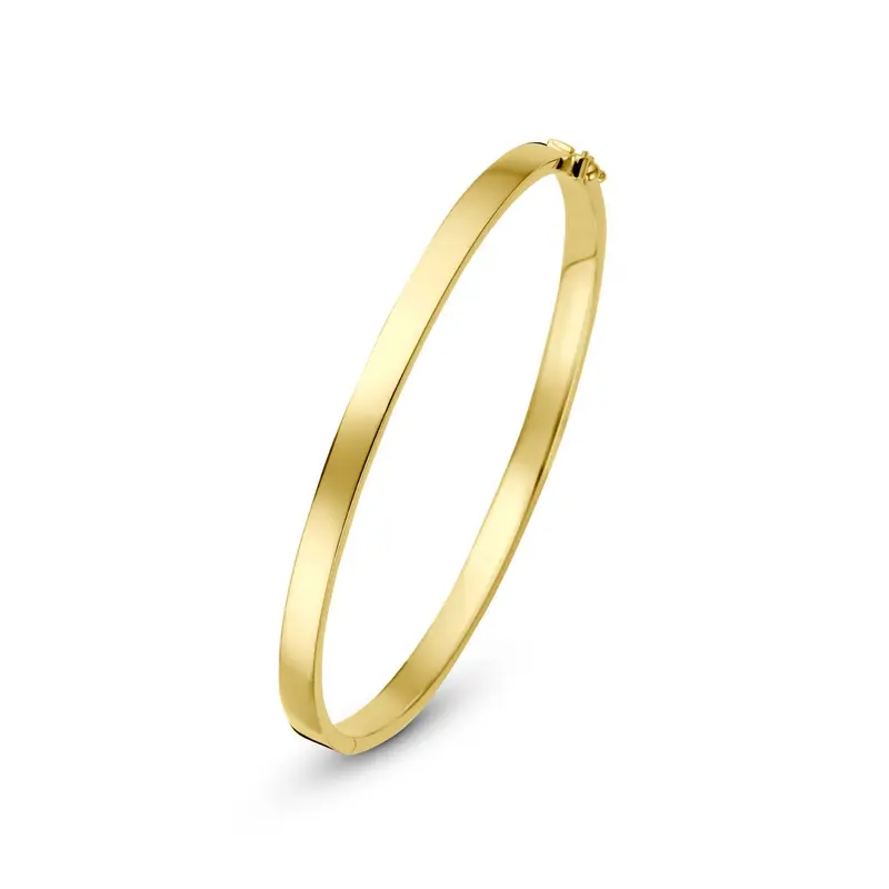 9k Geelgouden bangle armband met zilveren kern