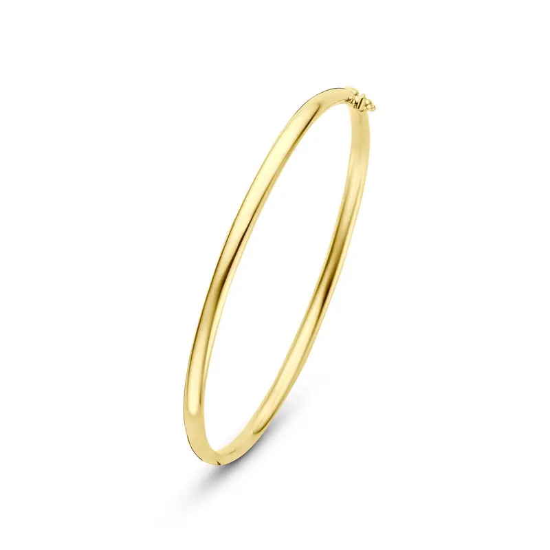 9k Geelgouden bangle armband met zilveren kern