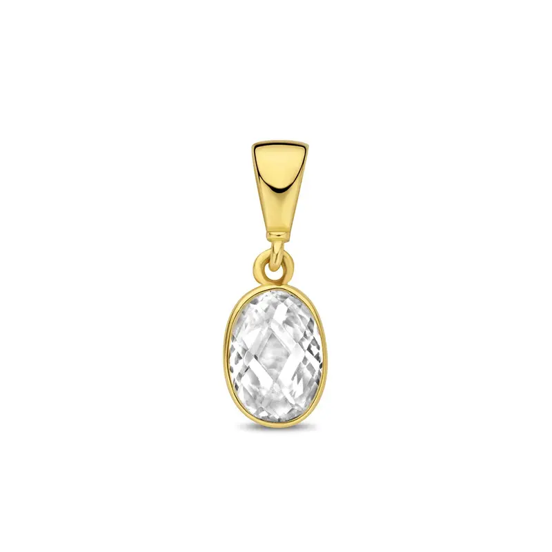 9k Geelgouden hanger met ovale zirkonia