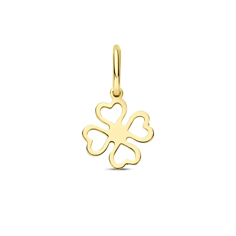 9k Geelgouden klaver graveer hanger