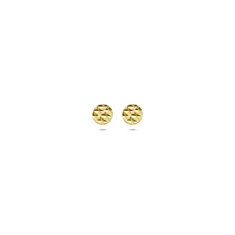 9k Geelgouden oorknopjes