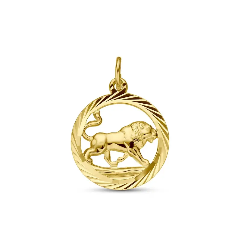 9k Geelgouden sterrenbeeld hanger