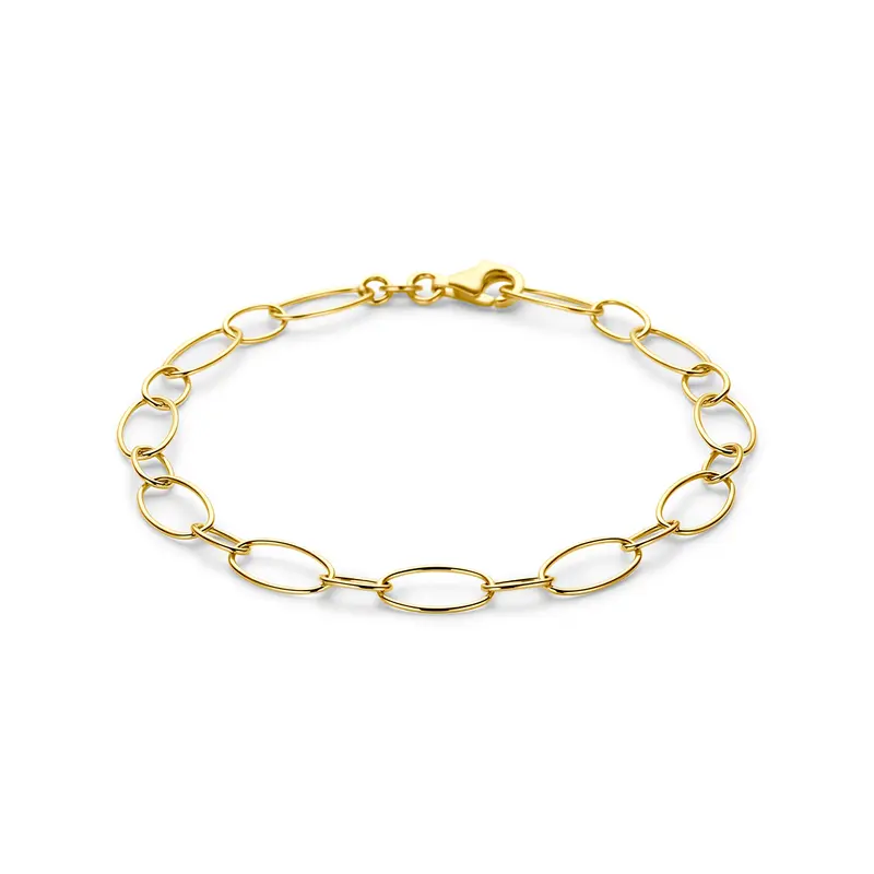Armband 14K geelgoud 6 mm 18,5 cm – 4036274