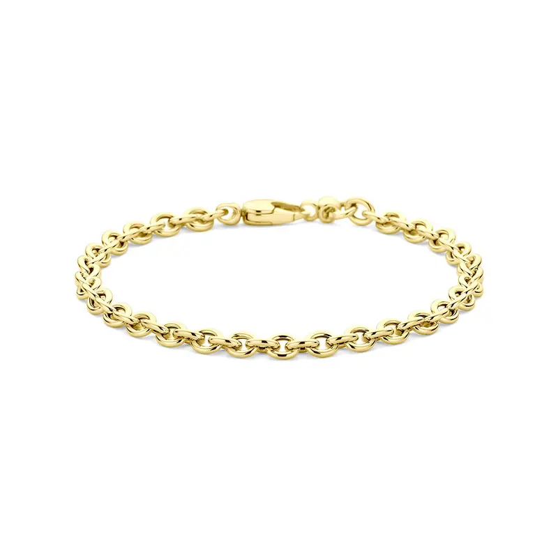 Armband 4,5 mm 9K geelgoud 18,5 cm