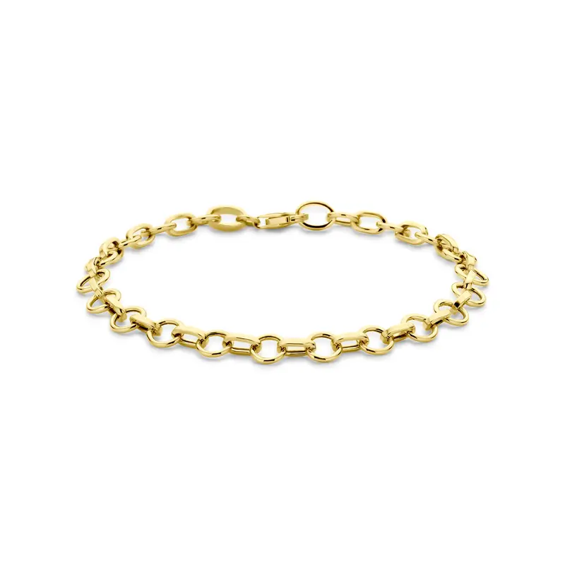 Armband 6 mm 19 cm 14K geelgoud – 4034931