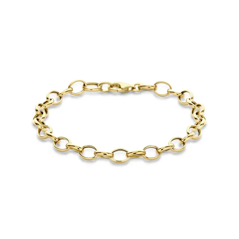armband fantasie schakel 6,0 mm 19 cm 14K geelgoud