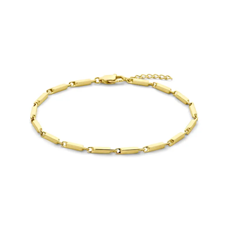 Armband ion plating 2,5 mm 19 + 2 cm edelstaal