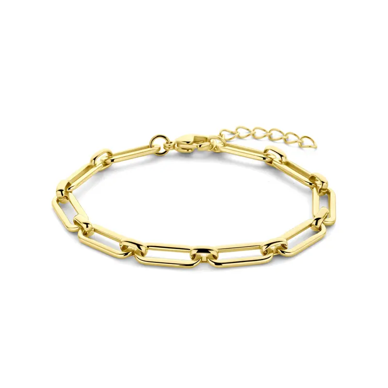 Armband ion plating 5,5 mm 17 + 3 cm edelstaal