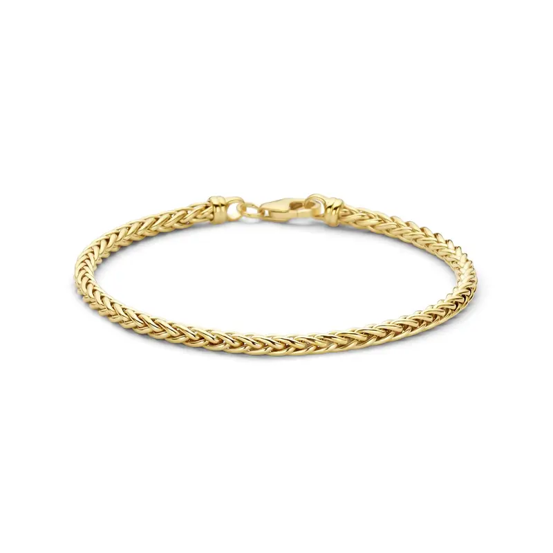 Armband vossestaart 3,0 mm 18,5 cm massief 9K geelgoud