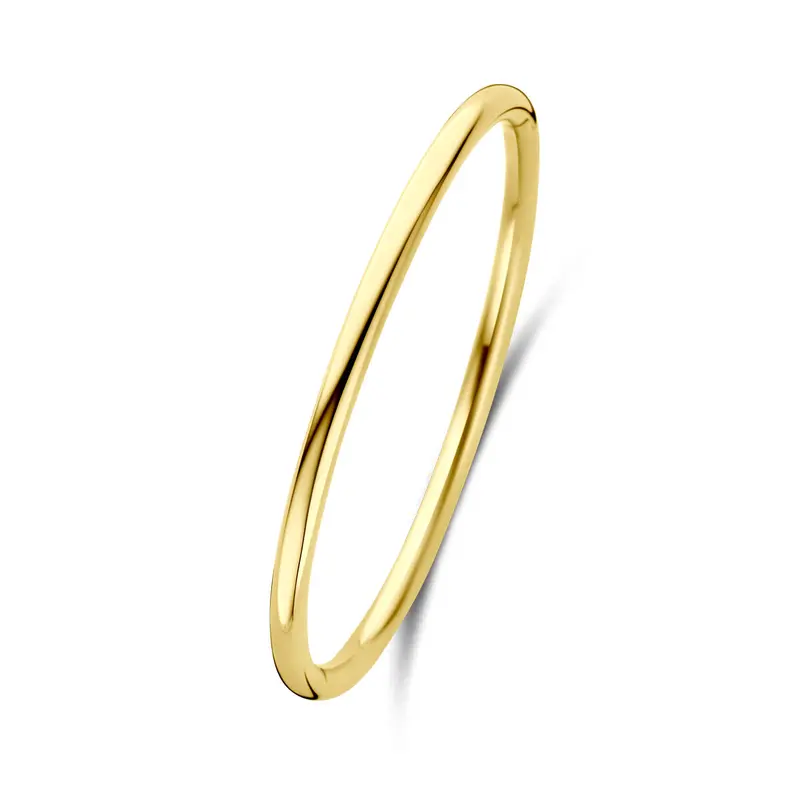 Bangle scharnier ion plating ronde buis 4,0 mm 60 mm edelstaal