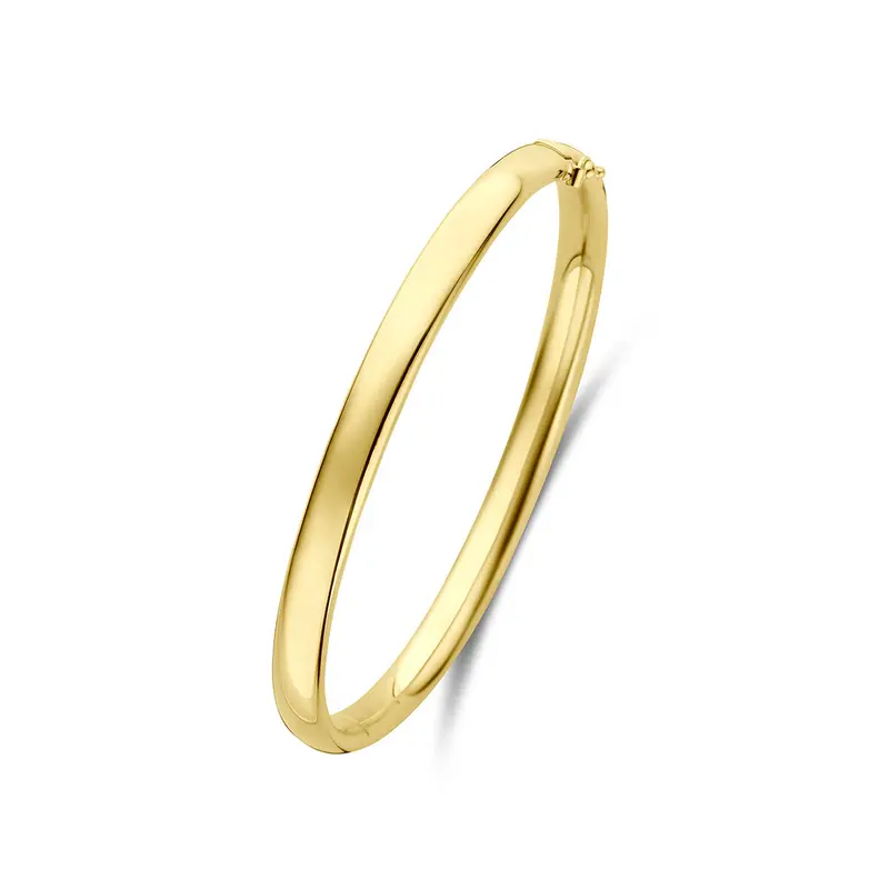 Bangle scharnier ovale buis massief 6 x silgold 60 mm