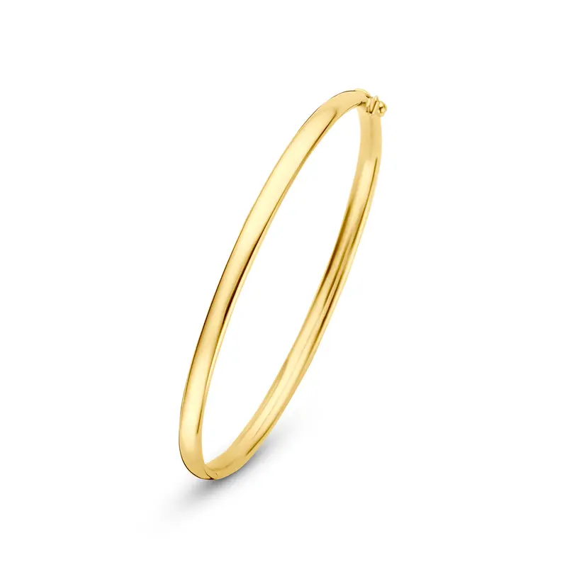 Bangle scharnier ovale buis massief silgold 4 mm – 5000380