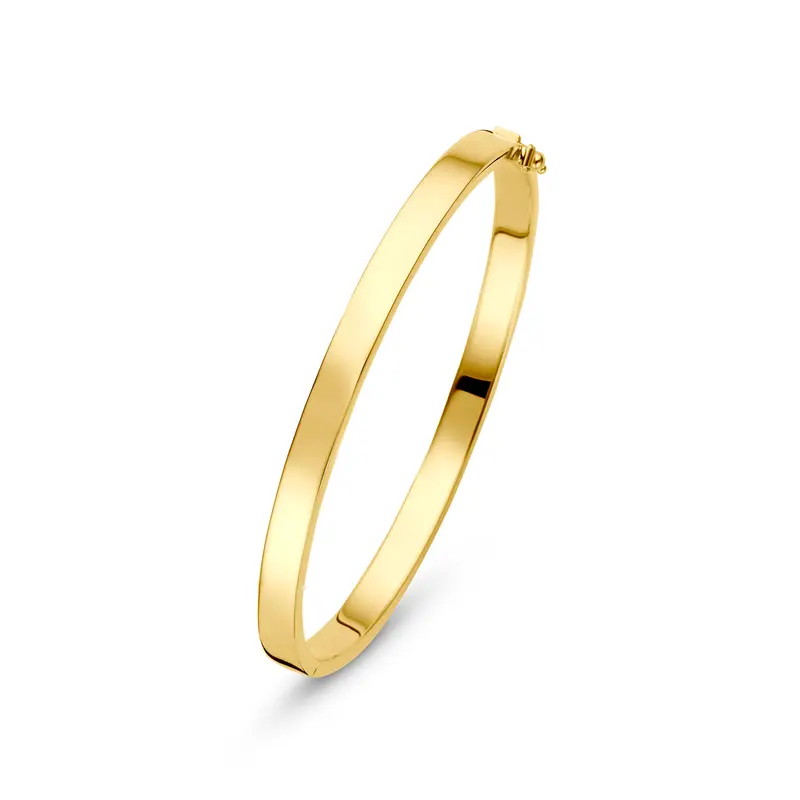 Bangle scharnier vlakke buis massief silgold 5 mm – 5000367