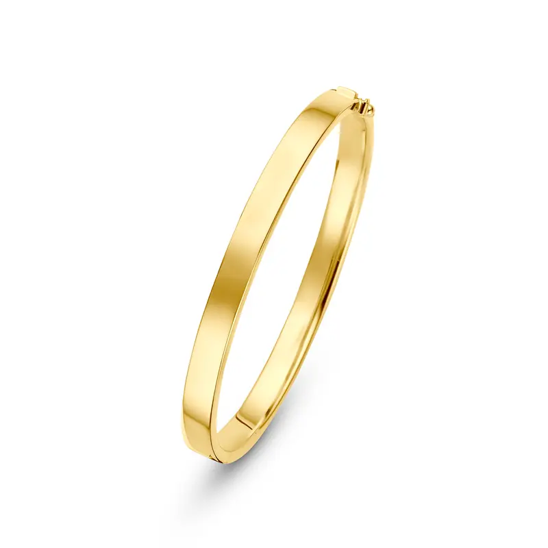 Bangle scharnier vlakke buis massief silgold 6 mm – 5000394