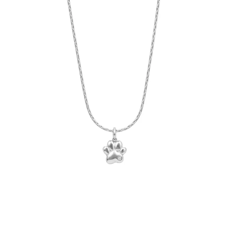 Bedelketting - Hondenpoot
