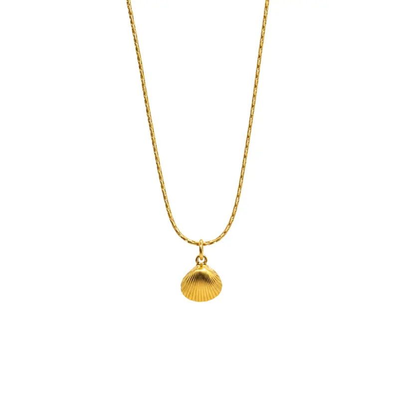 Bedelketting - Schelp van NL bodem - Mini